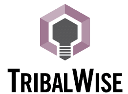 Secure Data with TribalWise and Arctic IT