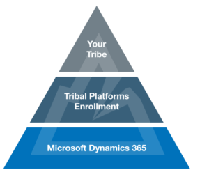 Tribal Platforms Enrollment Pyramid