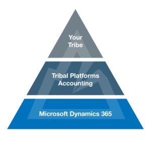 Tribal Platforms Accounting Pyramid Tribal Accounting Software