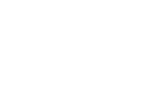 Enterprise Resource Planning (ERP)