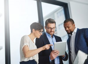 People using Dynamics 365 for Government