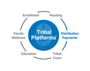 Tribal Platforms Distribution Payments by Arctic IT
