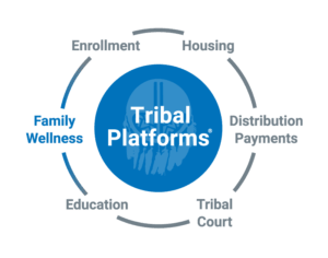 Tribal Platforms Social Services Application by Arctic IT