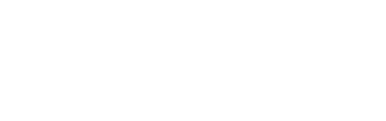 Arctic IT White Logo