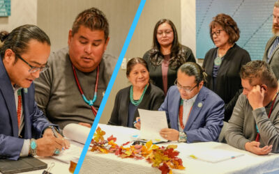 Arctic IT Partners with Navajo Nation for $31M Modernization Project