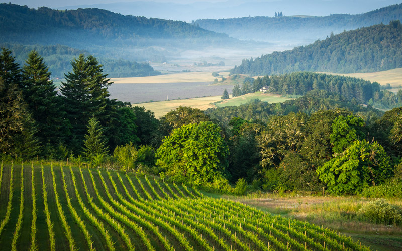 Willamette Valley - Confederated Tribes of Grand Ronde Land
